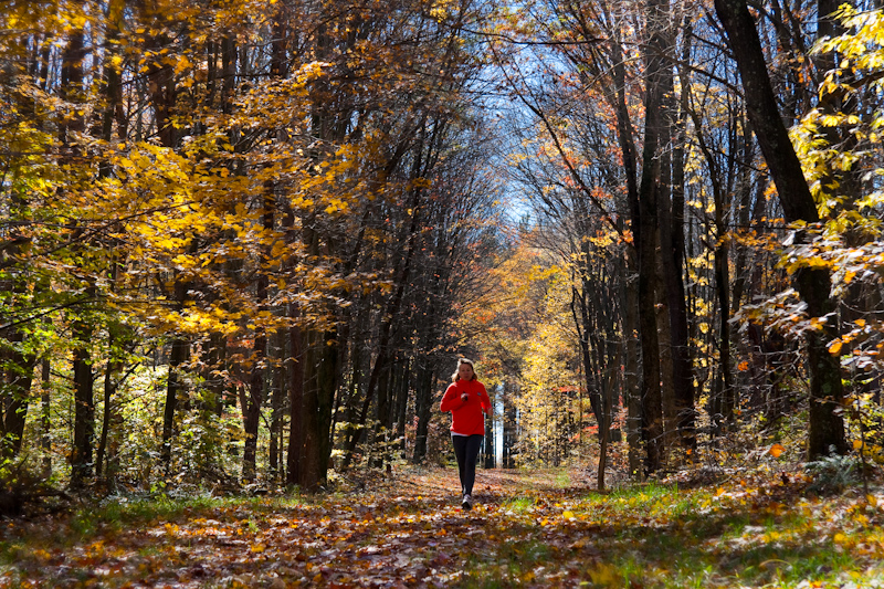 Fall Foliage on the Queer Ridge Trail