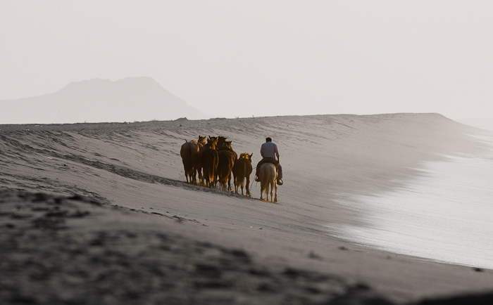 Caballero at Sunrise